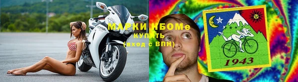 ГАЛЛЮЦИНОГЕННЫЕ ГРИБЫ Заволжье