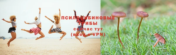 ГАЛЛЮЦИНОГЕННЫЕ ГРИБЫ Заволжье