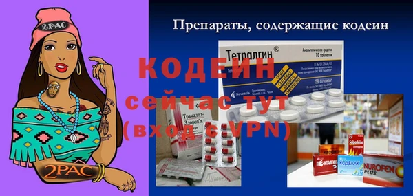 ГАЛЛЮЦИНОГЕННЫЕ ГРИБЫ Заволжье