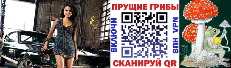 Купить  Партизанск  Галлюциногенные грибы прущие грибы 